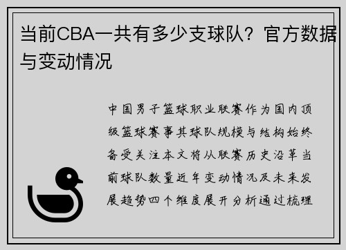 当前CBA一共有多少支球队？官方数据与变动情况