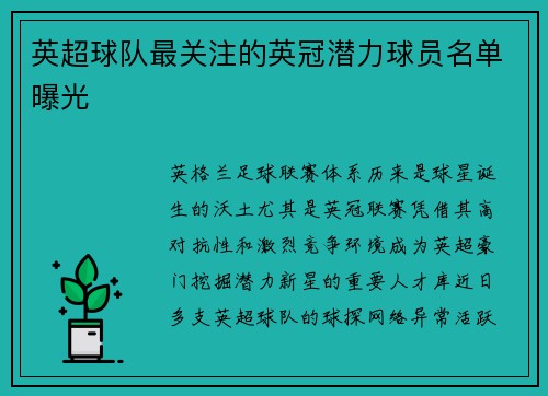 英超球队最关注的英冠潜力球员名单曝光